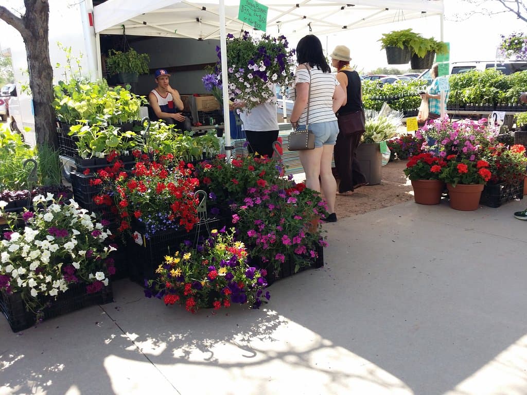 Longmont Farmers Market