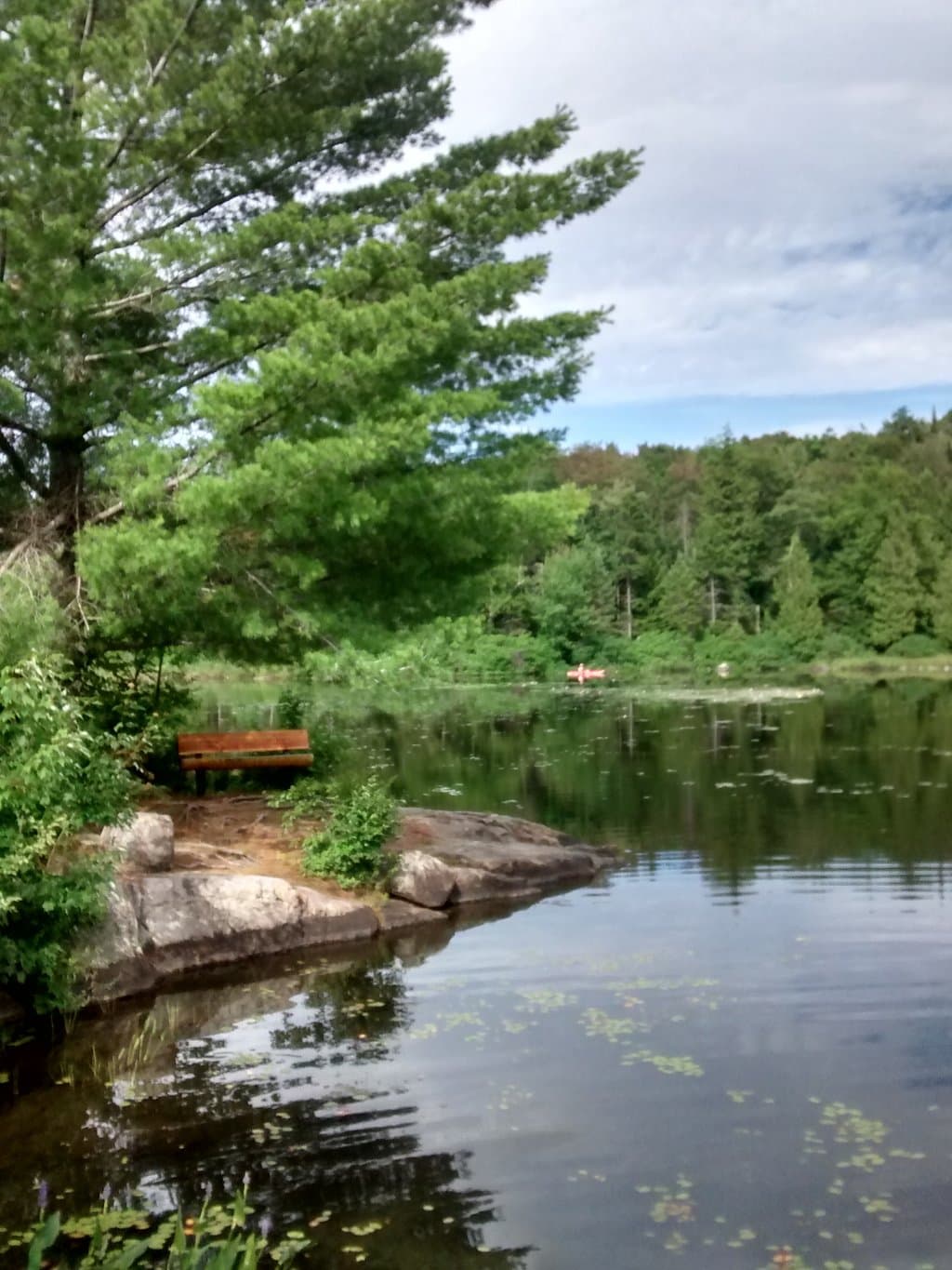 coin détente avec possibilité de baignade ou Kayak