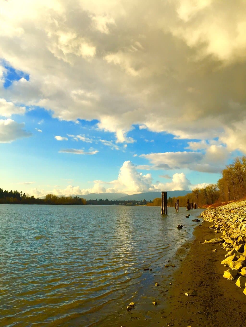 Kanaka Creek Estuary Osprey Loop
