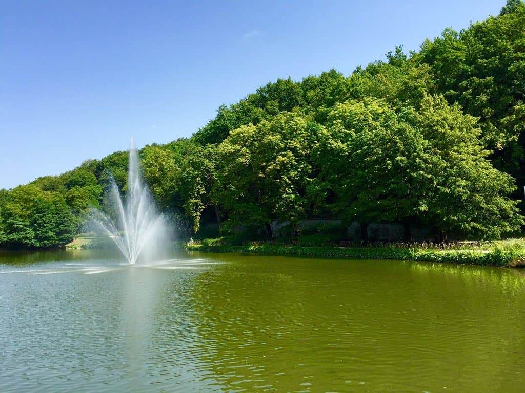 Maribor city park and the three pond area offers peace and tranquility within the busy city cent