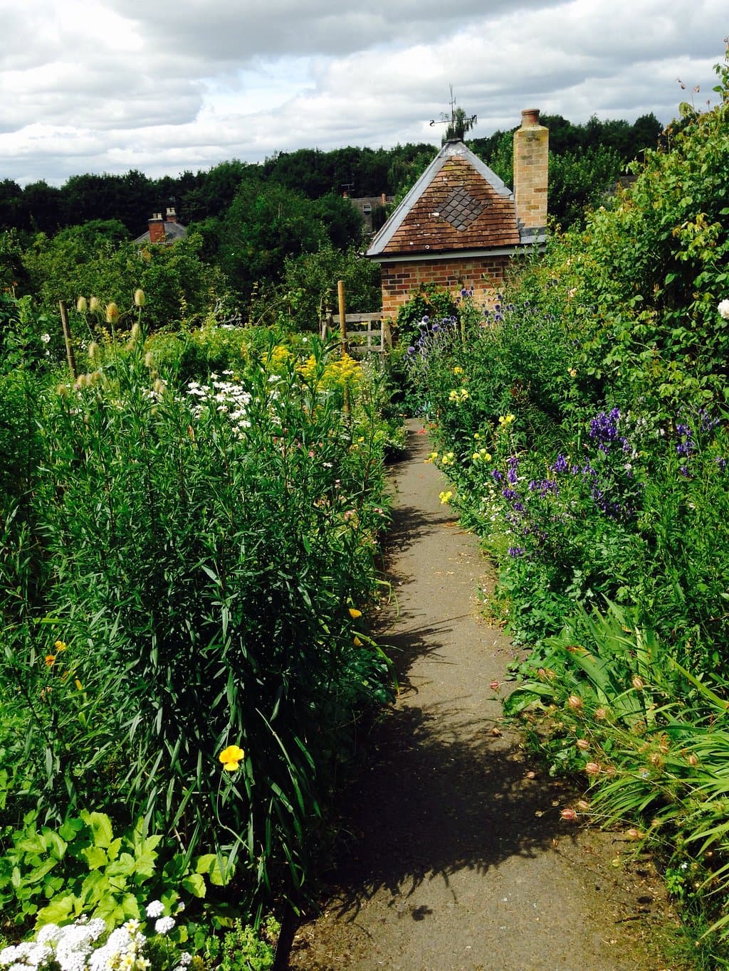 Hill Close Gardens