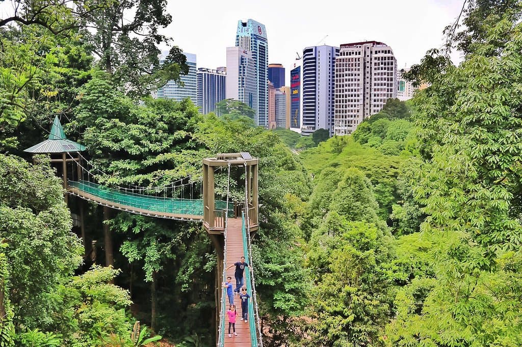 KL Forest Eco Park Bukit Nanas