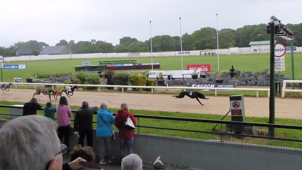 ...and the winner is