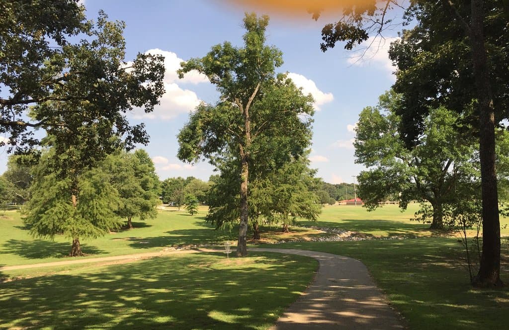 love the trees