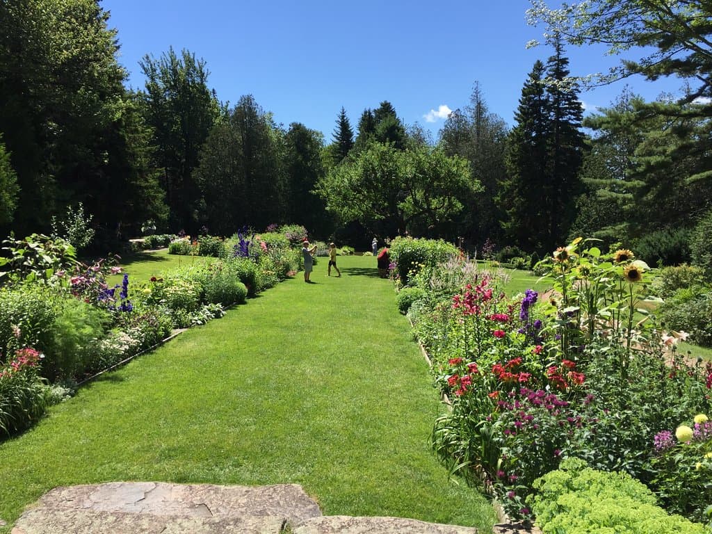 Garden view 2