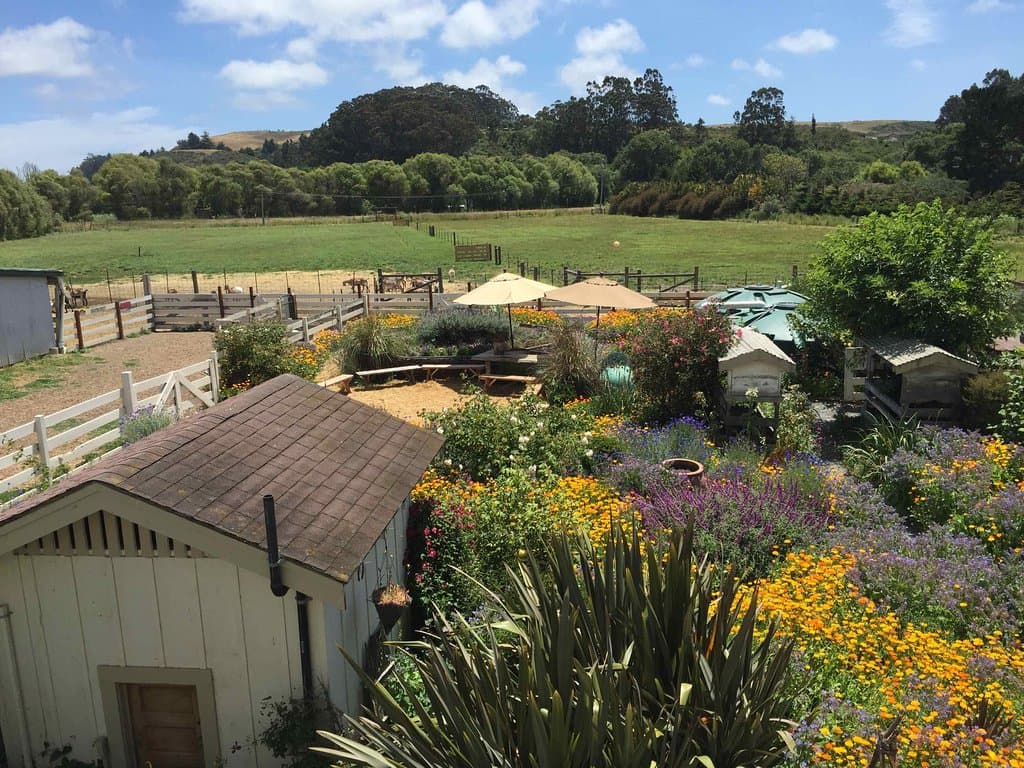 View from the private dining room into the garden; gorgeous!