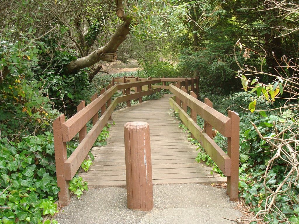 John McLaren Park