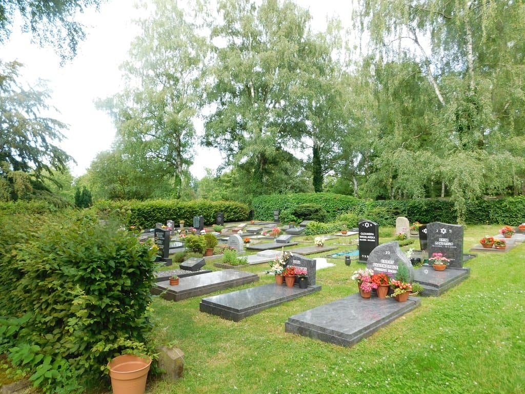 Современный сектор. В основном выходцы из стран бывшего СССР.