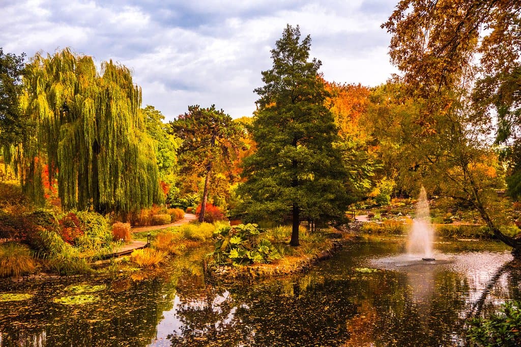 Ogród Botaniczny we Wrocławiu