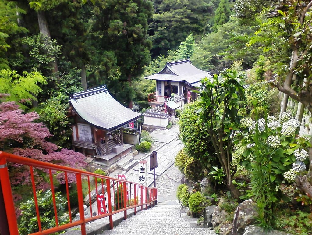 花も綺麗
