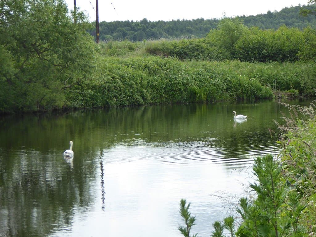 Tranquil & peaceful
