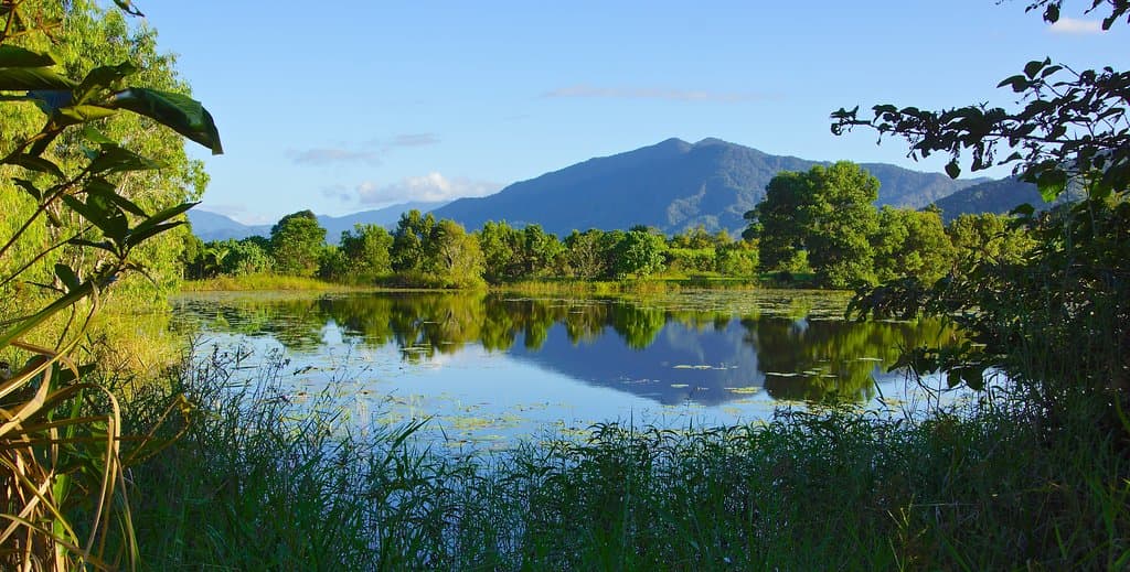 Aussies enjoyed an afternoon at Cattana Wetlands
