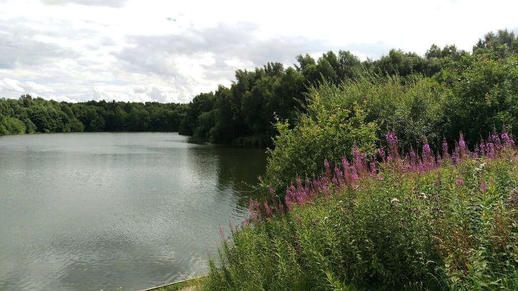 Brereton Heath Local Nature Reserve