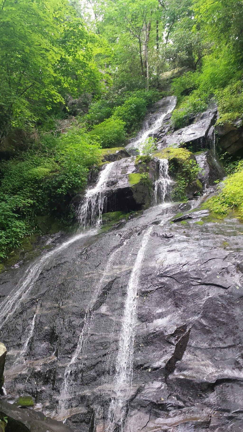 Hen Wallow Falls