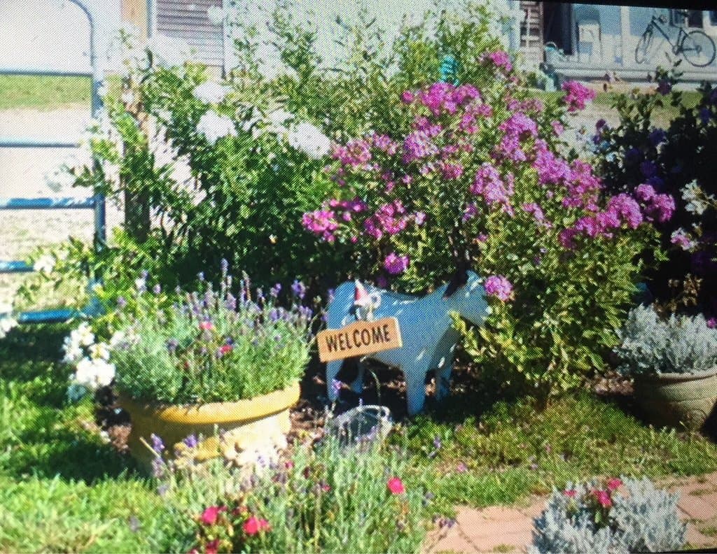 Catapano Dairy Farm