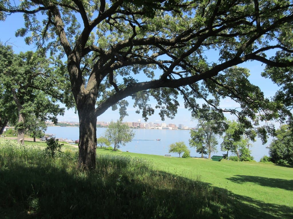 view fro the park