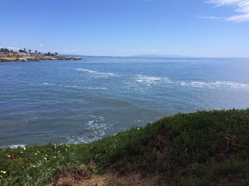 View from Bench
