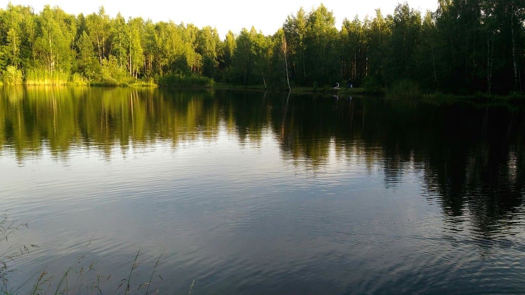 Sosnovka Forest Park