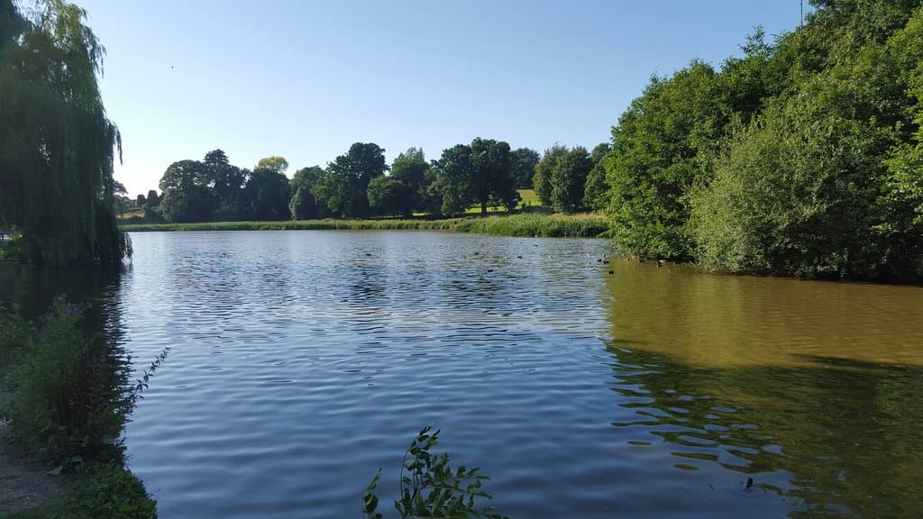 Abbey Fields