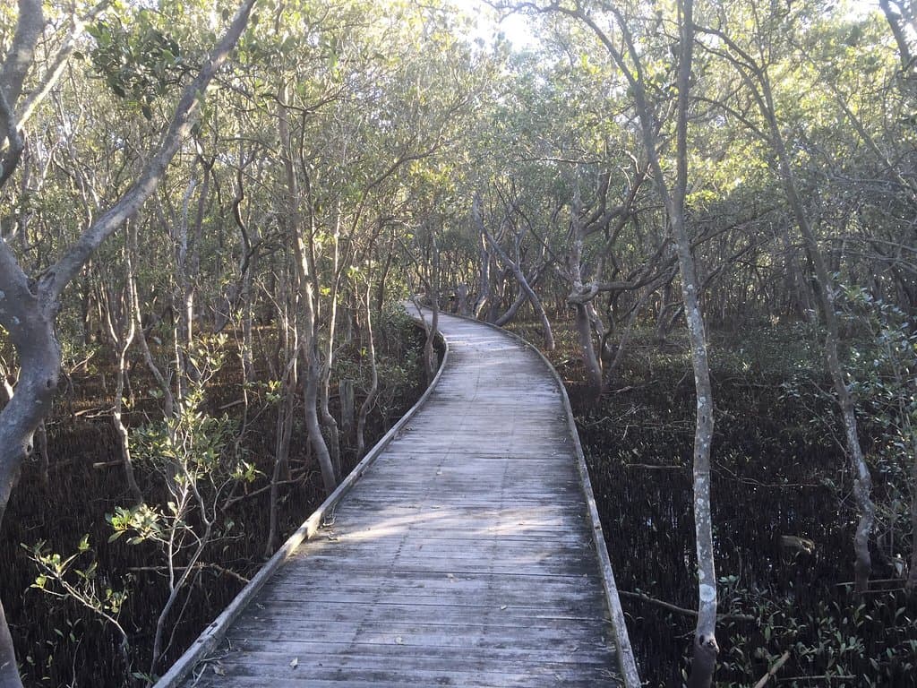 Puhe River Wetland Park