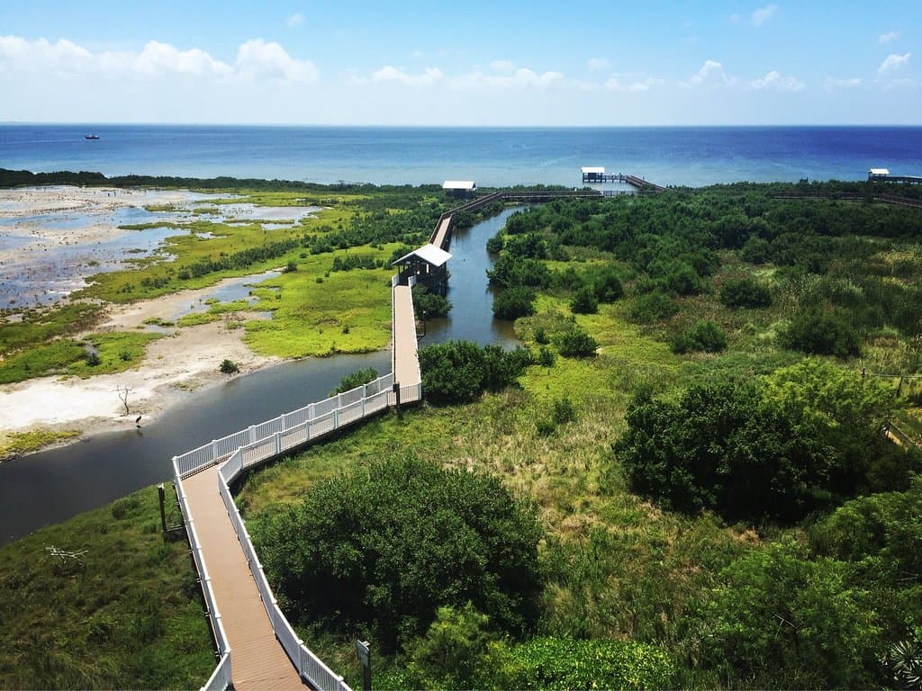 South Padre Island Birding Center