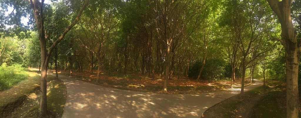 Красивое место