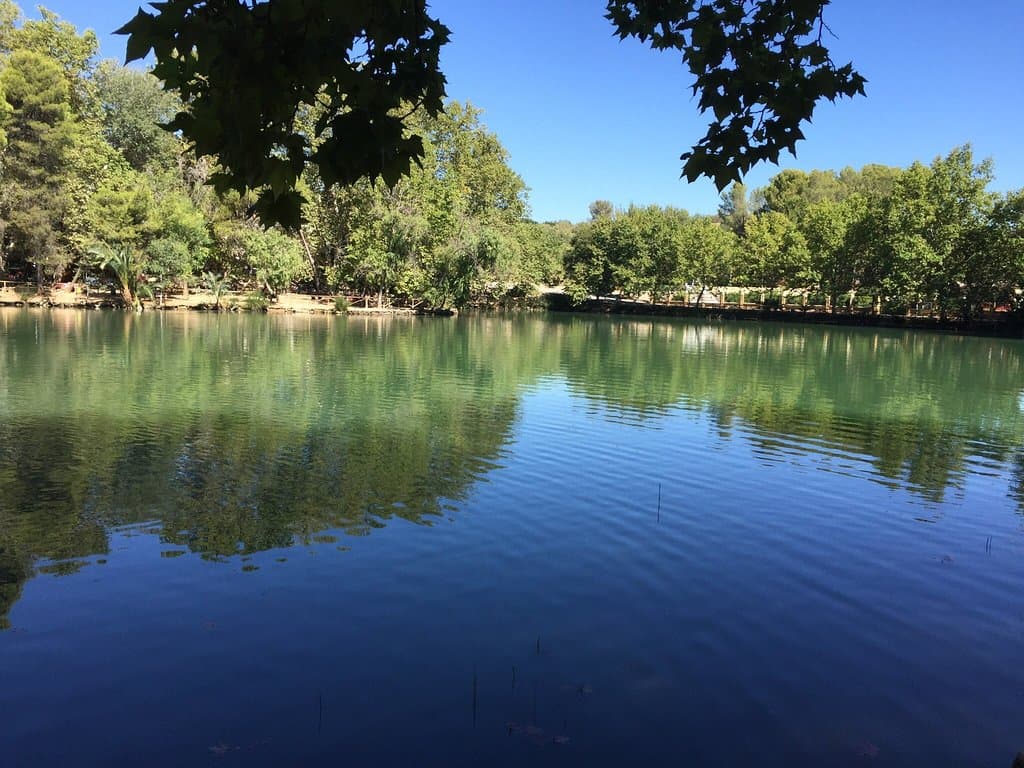 Lake Anna