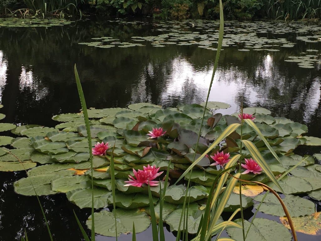 University of Latvia Botanical Garden