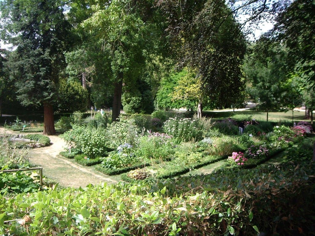 Une vue