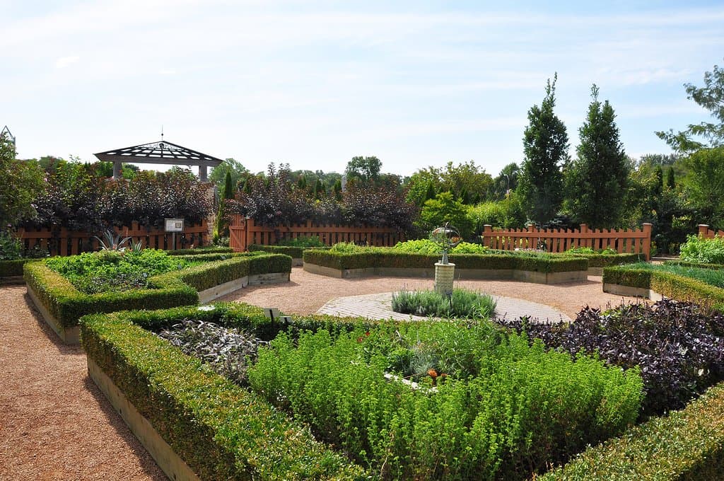Herb Garden summer