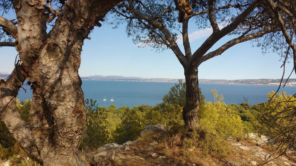Ben vue sur l'étang