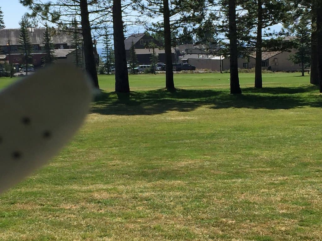 My gloved finger is pointing to the view of the lake between the trees.
