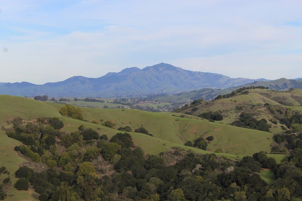 Huckleberry Botanic Regional Preserve Feb. 2016 viewing Mt. Diablo