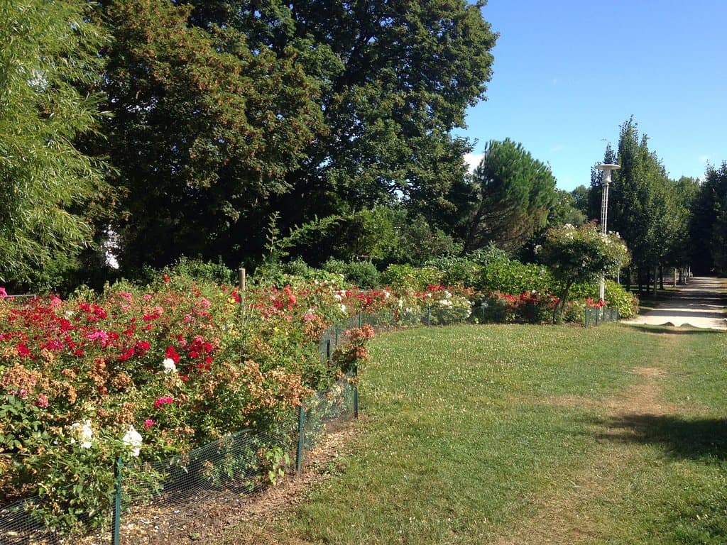 Les espaces fleuris
