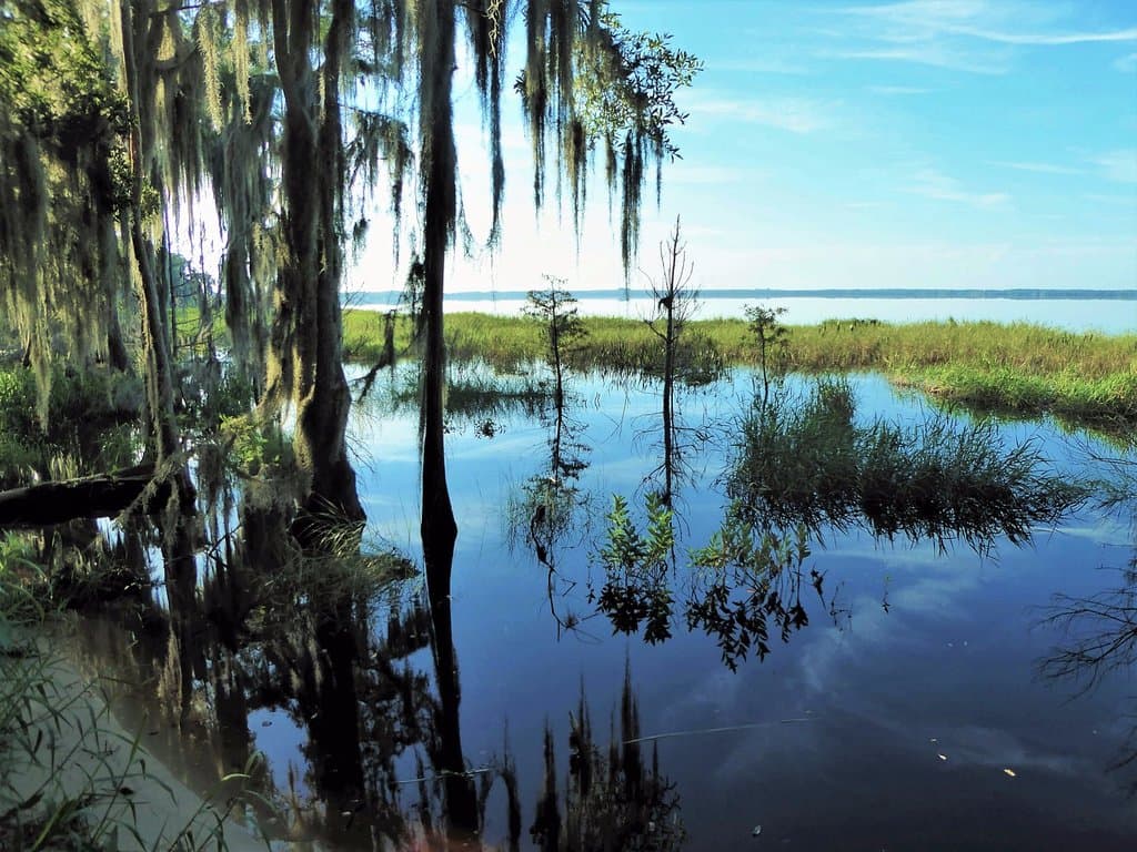 Lake Louisa north shore