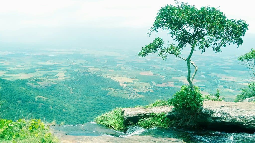 Chellarkovil Viewpoint