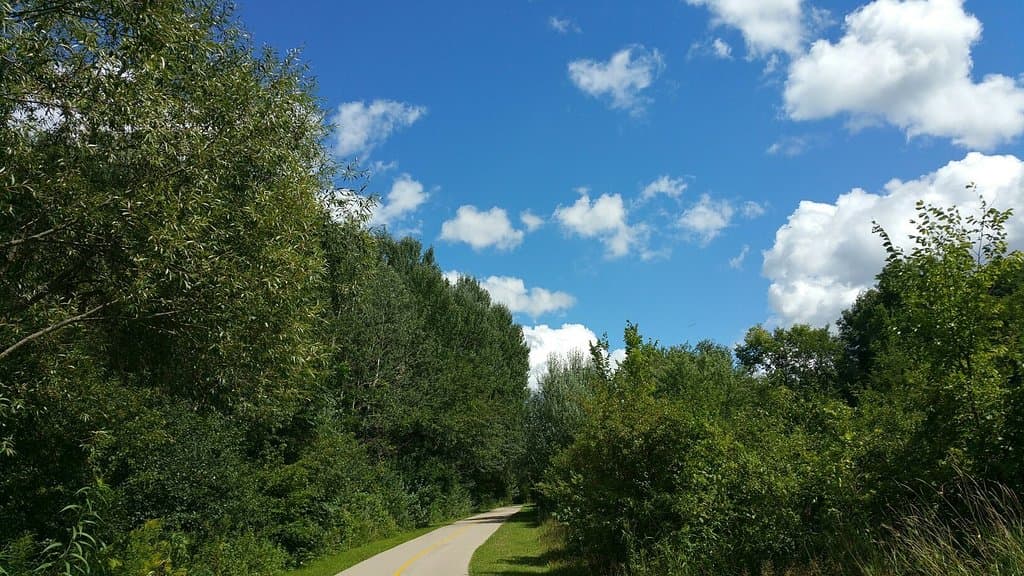 Deer Grove Forest Preserve