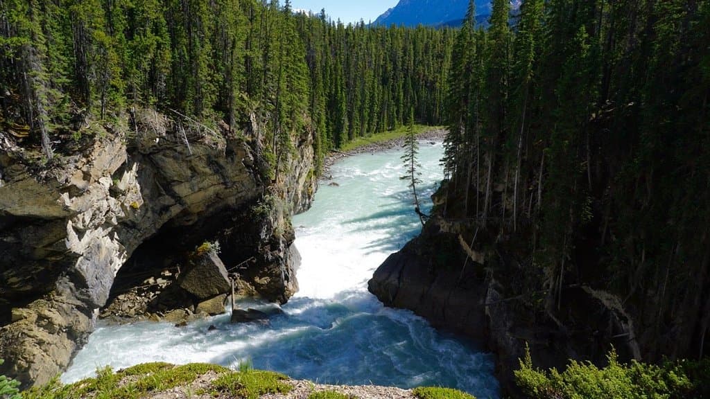 Sunwapta (Lower) Falls