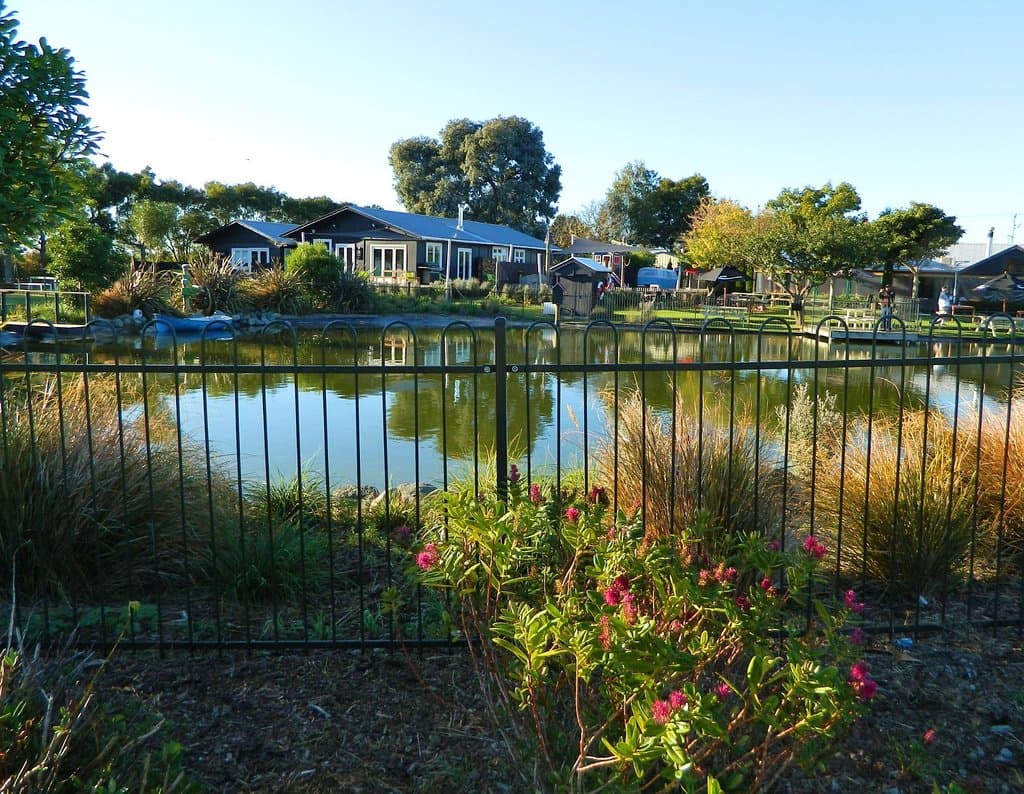 The Vines Village - The lake