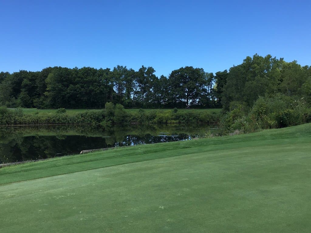 Whittaker Street Main Street