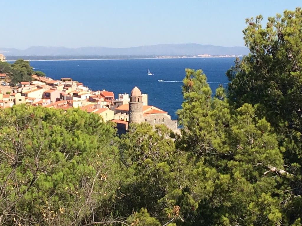 Vue depuis le moulin