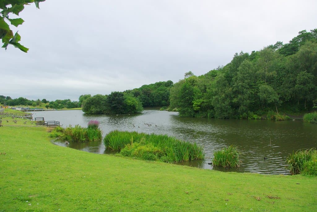 CFP lake