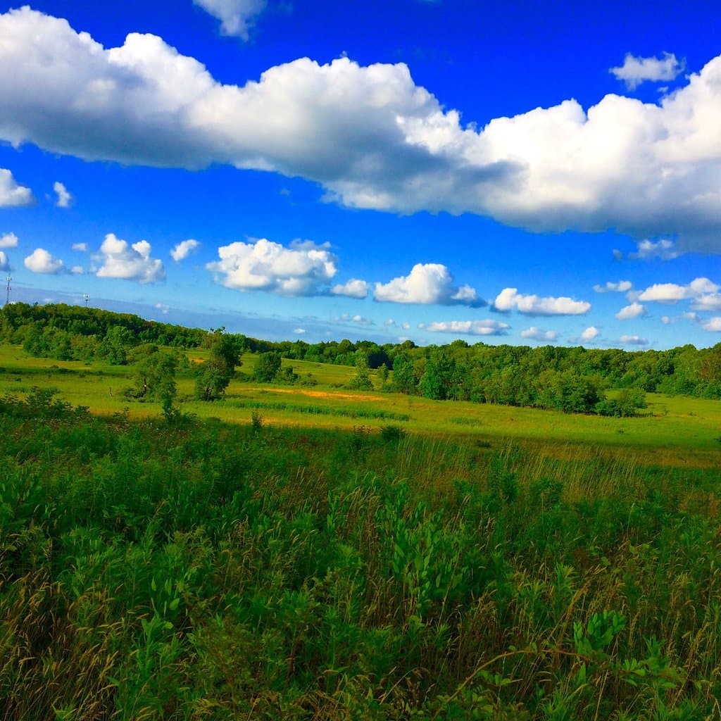O'Neil Woods Metro Park
