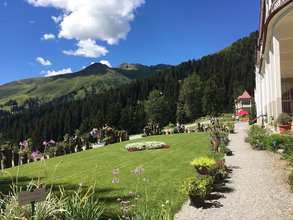 giardino dell'hotel