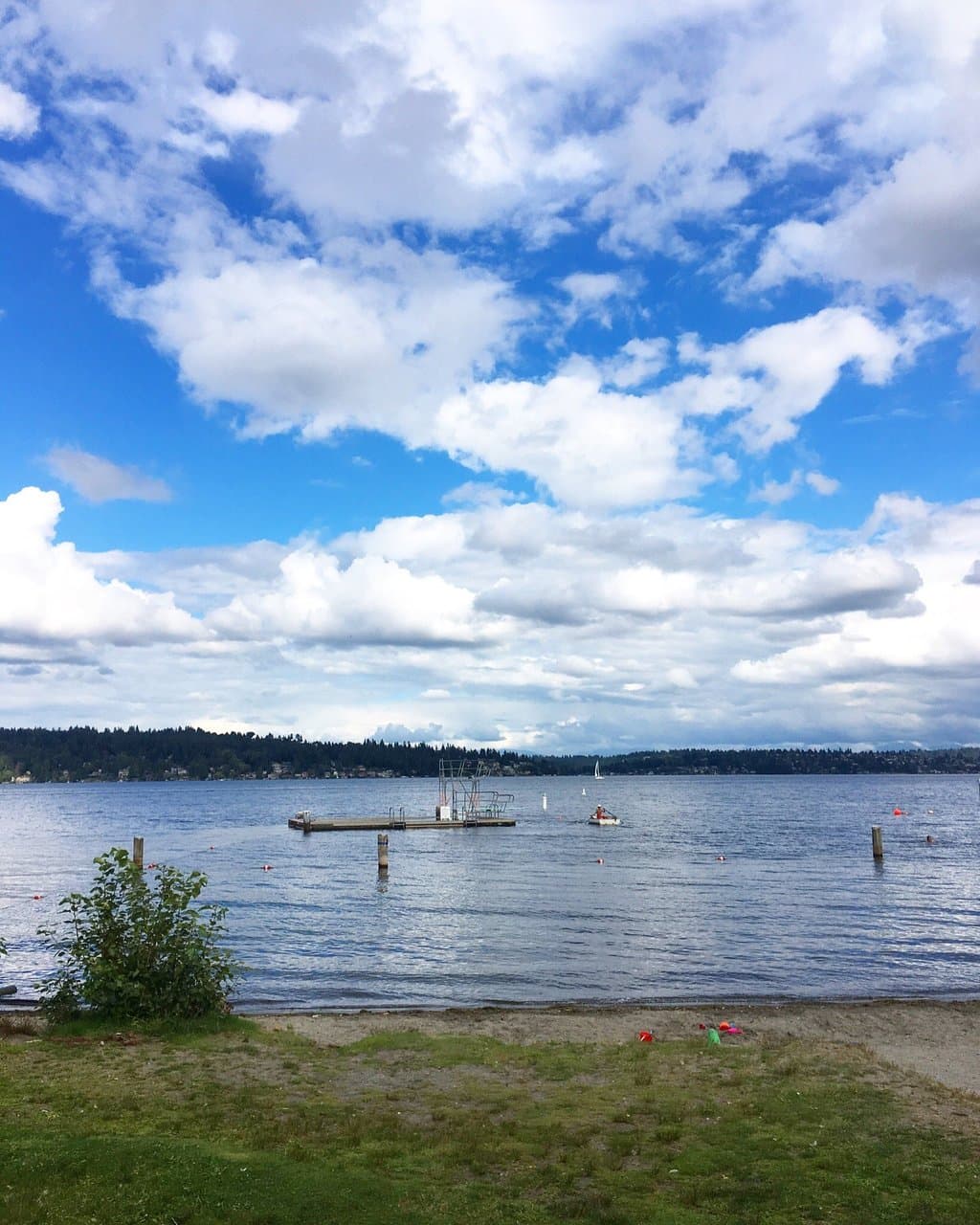 Matthews Beach Park