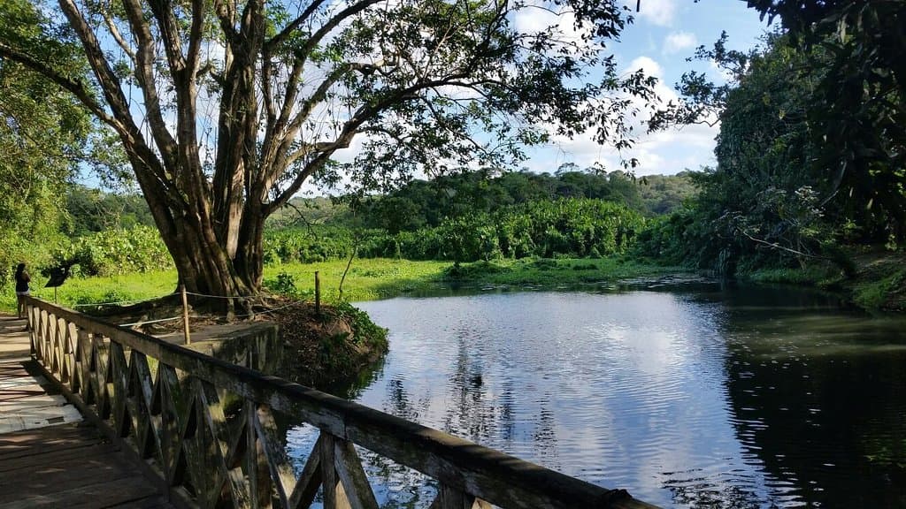 Benjamim Maranhão Botanical Garden