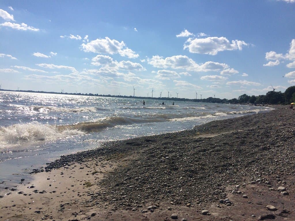 Long Beach Conservation Area