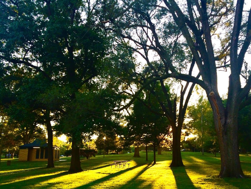 Evening sunlight at Hessel park - Champaign