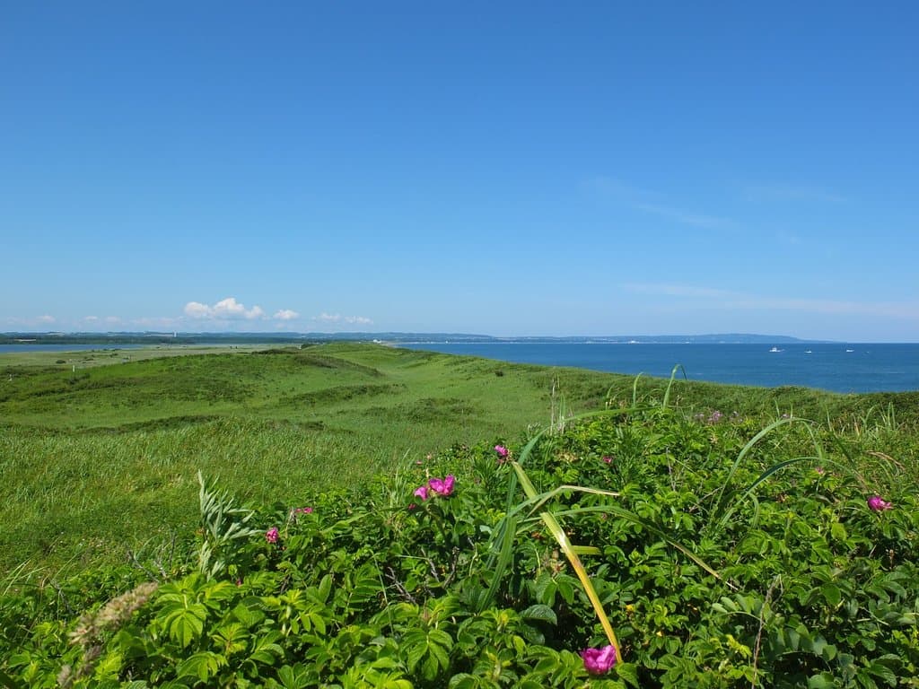 Koshimizu Gensei Kaen Hokkaido