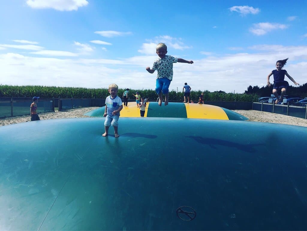 Southwold Maize Maze